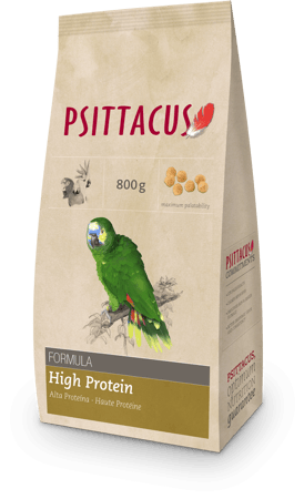 سيتاكوس هاي بروتين - PSITTACUS High Protein