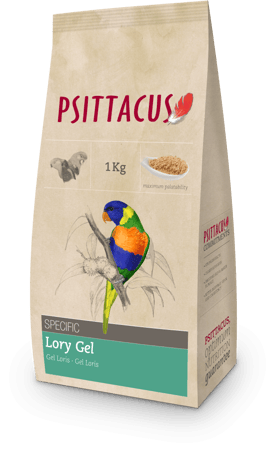 سيتاكوس لوري جل - PSITTACUS lory Gel