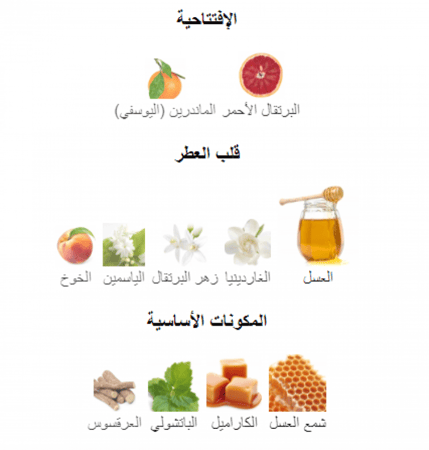 جون بول غوتيية سكاندال اودي بارفيوم 80م