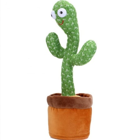 الصبارة الراقصة للأطفال