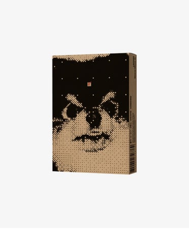 V 솔로 앨범 'Layover Album'