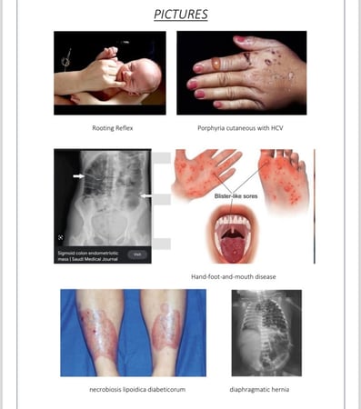 ALL 2024 ( All Sections )