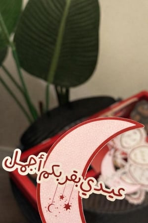 بيكانا ديلايت & استيكر العيد