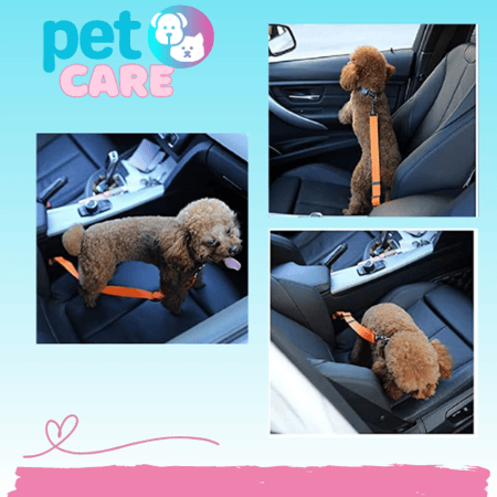 حزام امان لمقعد السيارة للكلاب والحيوانات الاليفة
