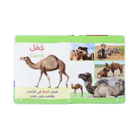 سلسلة مونتيسوري  – الحيوانات باللمس