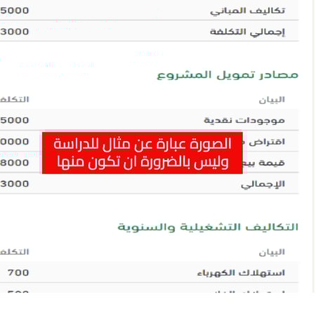 دراسة جدوى ريف | القيمة المضافة | سعف النخل | الخوص والحصير