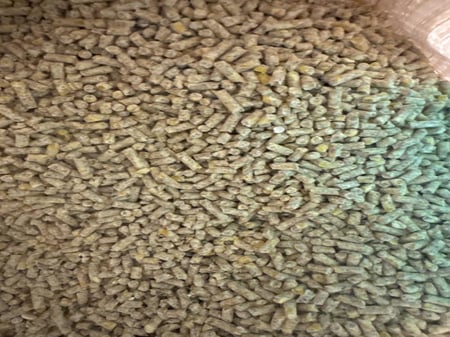 اكل حمام مكعب 1KG