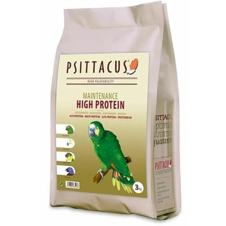 سيتاكوس هاي بروتين