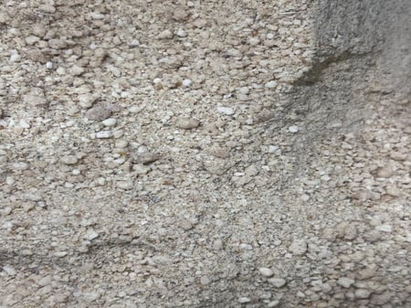 باتية بادجي  MANITOBA 1KG