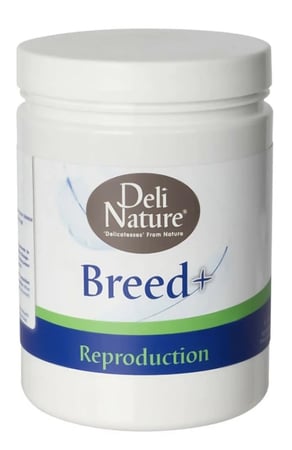مكمل غذائي بريد ديلي ناتشر - Deli Nature Breed 500g