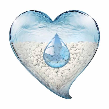 ساني كات رمل قطط كلاسيك برائحة اللافندر