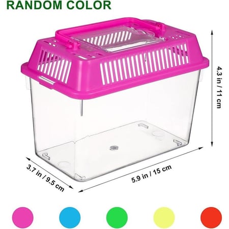 حوض سمك بلاستيك صغير