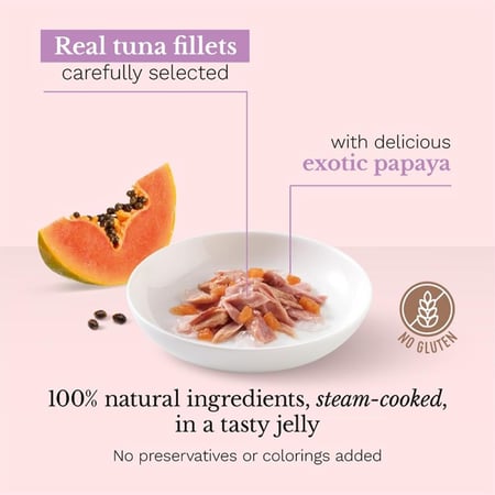 شيزر طعام رطب معلبات التونة والبابايا للقطط