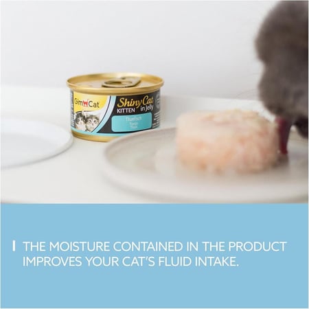 جيم كات معلبات طعام رطب للكيتن بالتونة في الجيلي 70ج