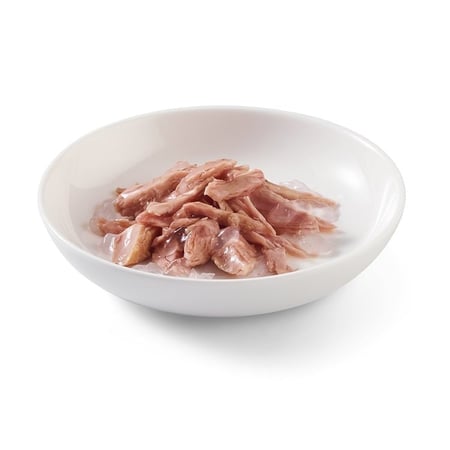 شيزر طعام رطب أظرف شرائح التون للقطط بالجيلي