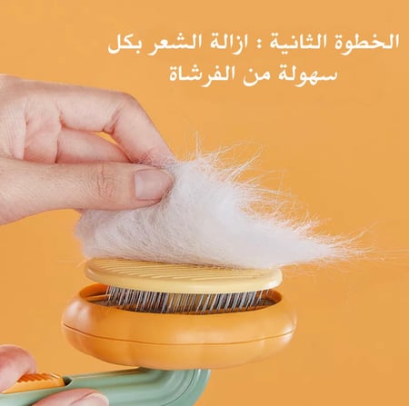 فرشاة اليقطين للقطط
