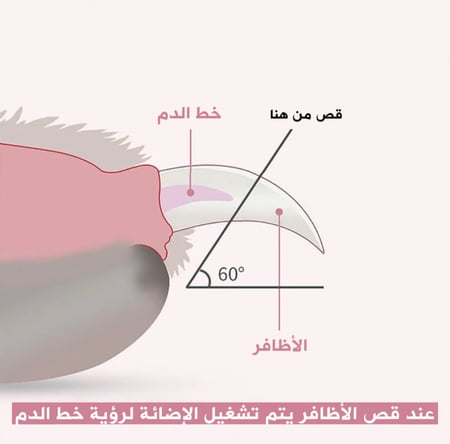 مقص اظافر مع إضائة LED للقطط