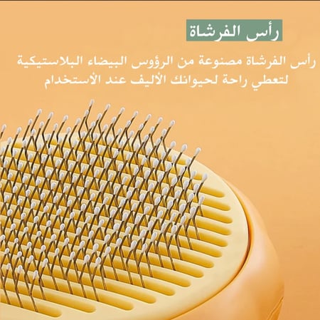 فرشاة اليقطين للقطط