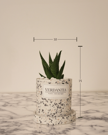 حوراء القصر صغير دائري تيرازو