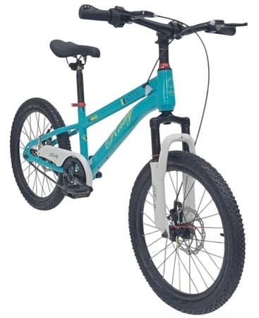 دراجة جبلية مقاس 20