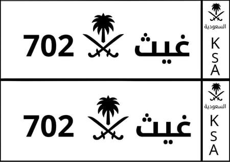 لوحة سيفين ونخلة ابيض واسود