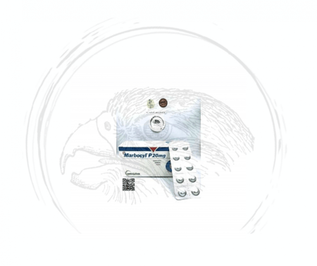 ماربوسيل p20mg.  مضاد حيوي