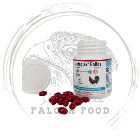 Antoplex Gallos - حبوب الديك