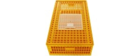 شبك نقل طيور