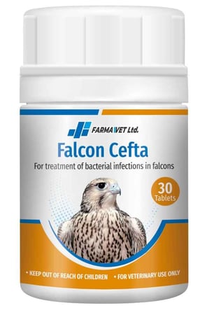 Falcon Cefta مضاد حيوي لعلاج البكتريا
