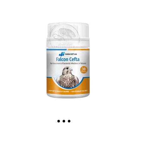 Falcon Cefta مضاد حيوي لعلاج البكتريا