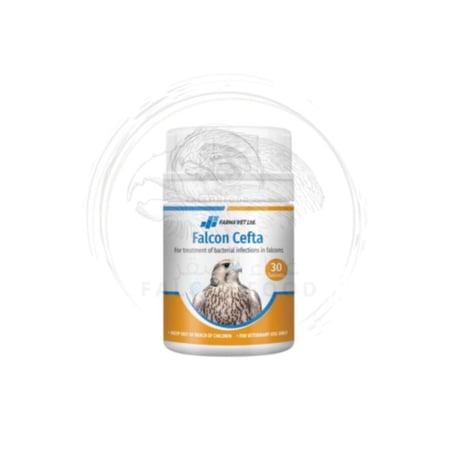 Falcon Cefta مضاد حيوي لعلاج البكتريا