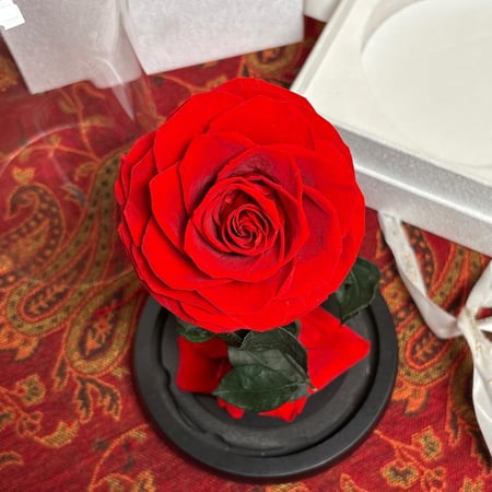 ورد دائم طبيعي معالج يعيش سنتين اواكثر