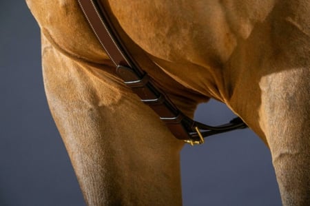 Long Bridge Breastplate