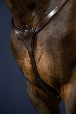 Long Bridge Breastplate