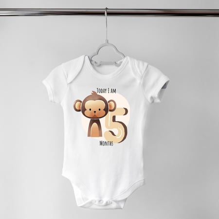 Set of 12 - Animals (2)