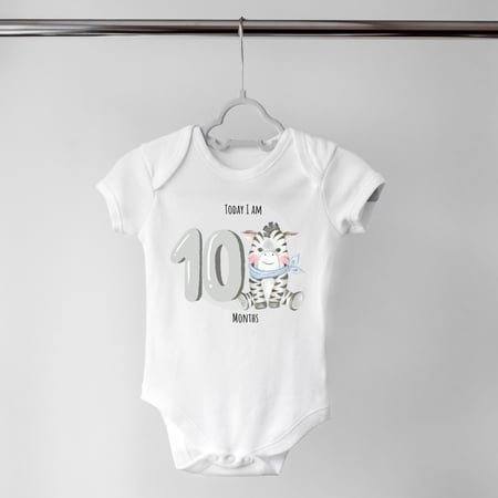 Set of 12 - Animals (2)