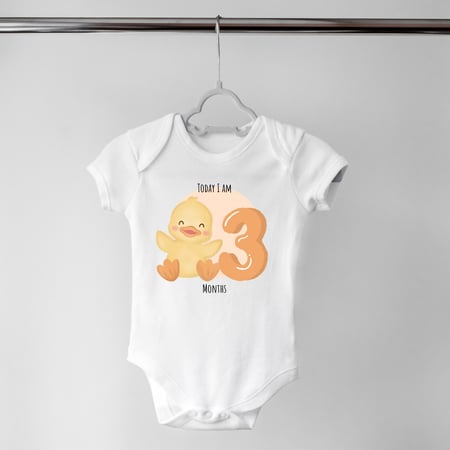 Set of 12 - Animals (2)