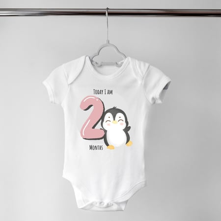 Set of 12 - Animals (2)