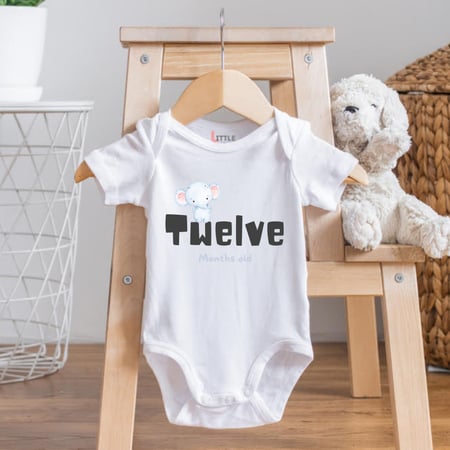 Set of 12 - Animals (1)