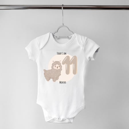 Set of 12 - Animals (2)