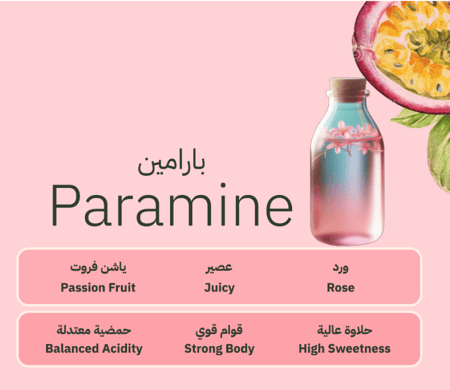 ريميدي - بارامين