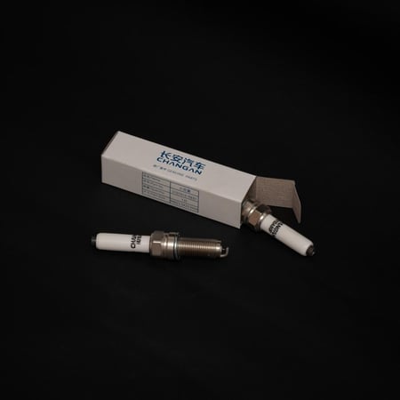 بواجي شانجان