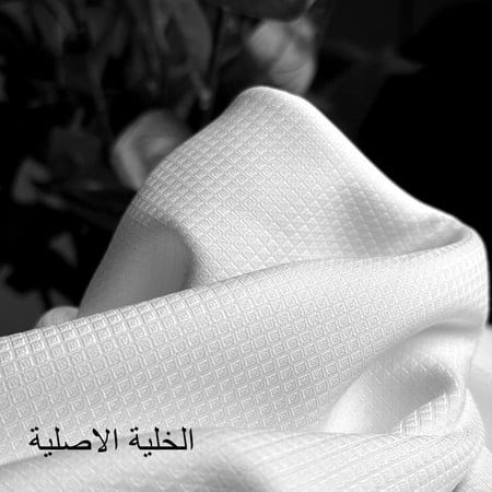 باقة الانــاقــة بلس ( 6 قطع )