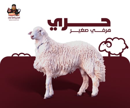 ذبيحة حري هرفي صغير