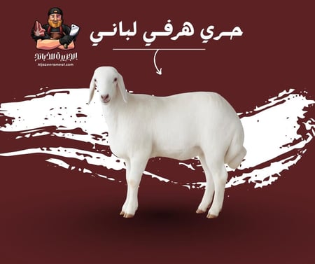 حـري هرفـي لبانـي