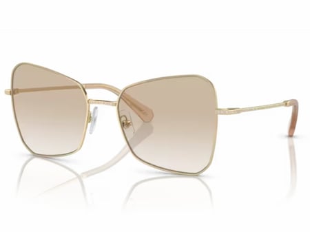 نظارة سواروفسكي شمسية SW 7008 401311