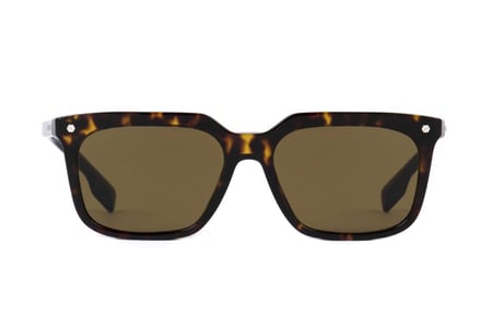 نظارة شمسية بربري كارنابي BE 4337 3002-73 بني