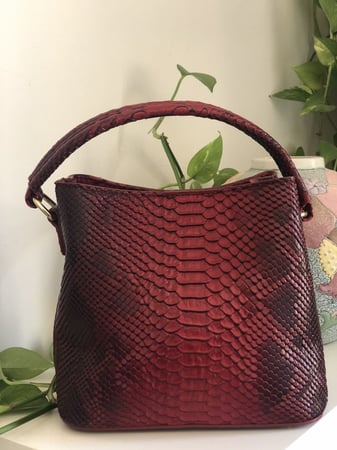 كروس بودي red Python