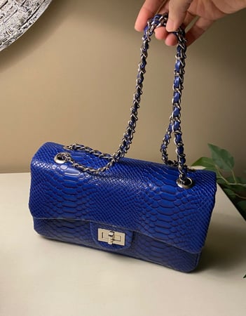 كروس بودي | Blue python