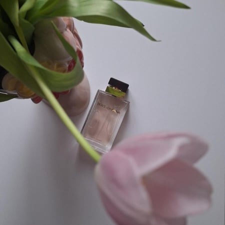 عطر دولتشي غابانا بور فيم او دو بارفيوم 100 مل